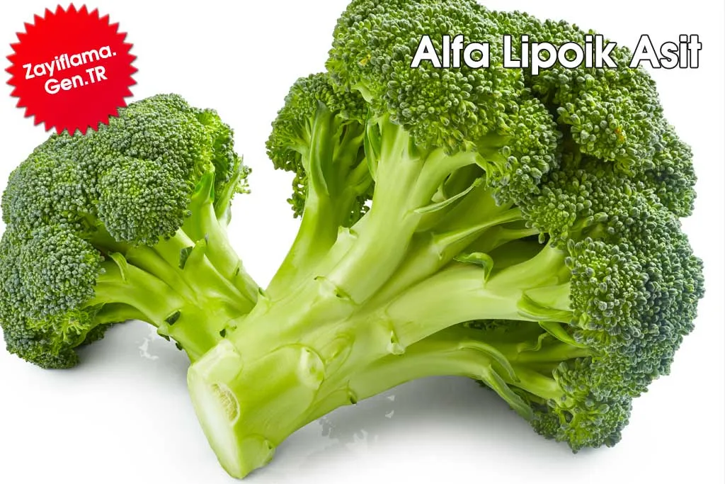 Alfa Lipoik Asit