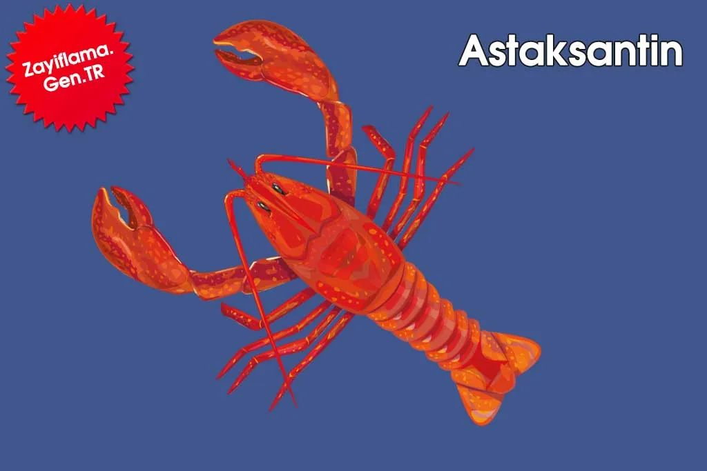Astaksantin Nedir? Nelerde Bulunur?