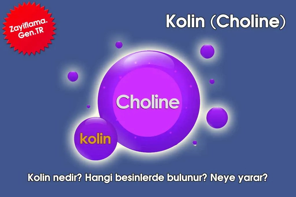 Kolin Nedir? Sağlığa Faydaları ve Zararları Nelerdir?