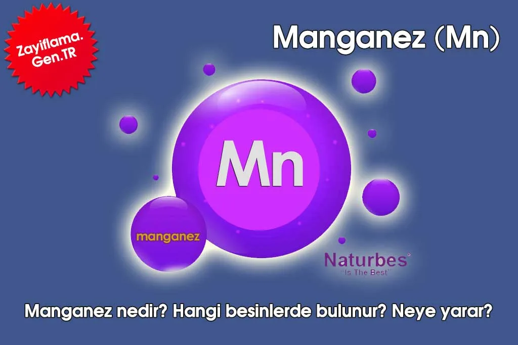 Manganez Nedir? Sağlığa Faydaları ve Zararları Nelerdir?