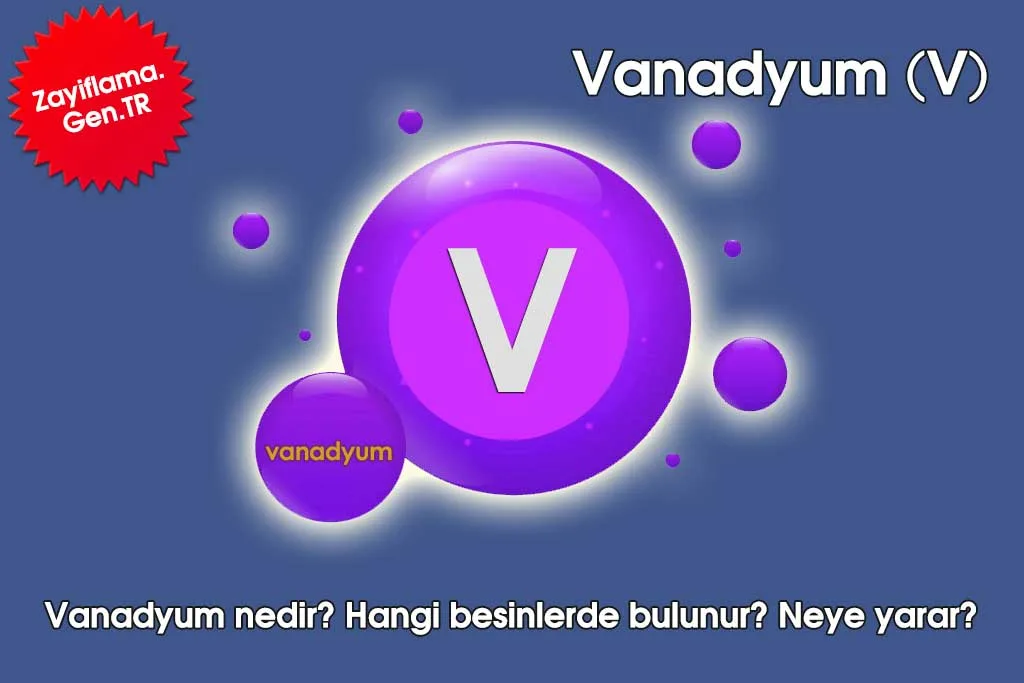 Vanadyum Nedir? Sağlığa Faydaları ve Zararları Nelerdir?