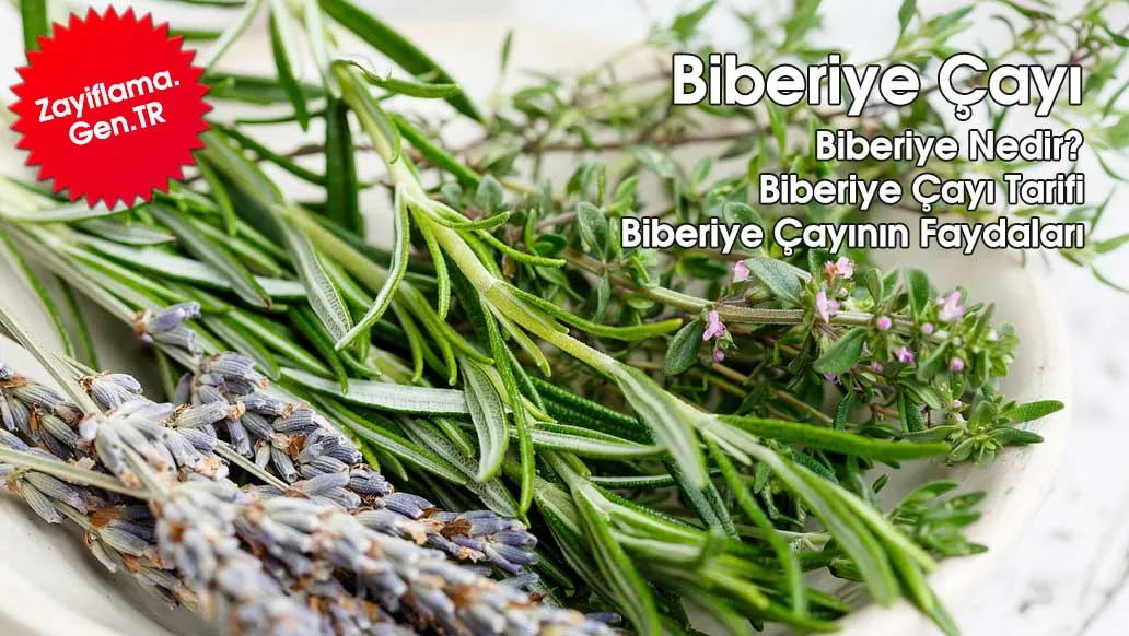Biberiye Çayı Faydaları Nelerdir?