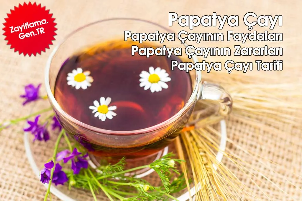 Papatya Çayının Faydaları