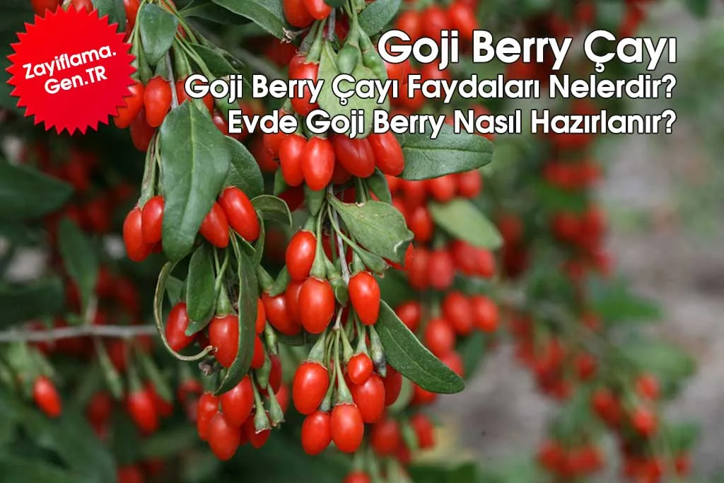 Goji Berry Çayı