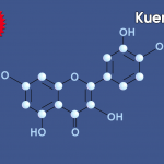 Kuersetin