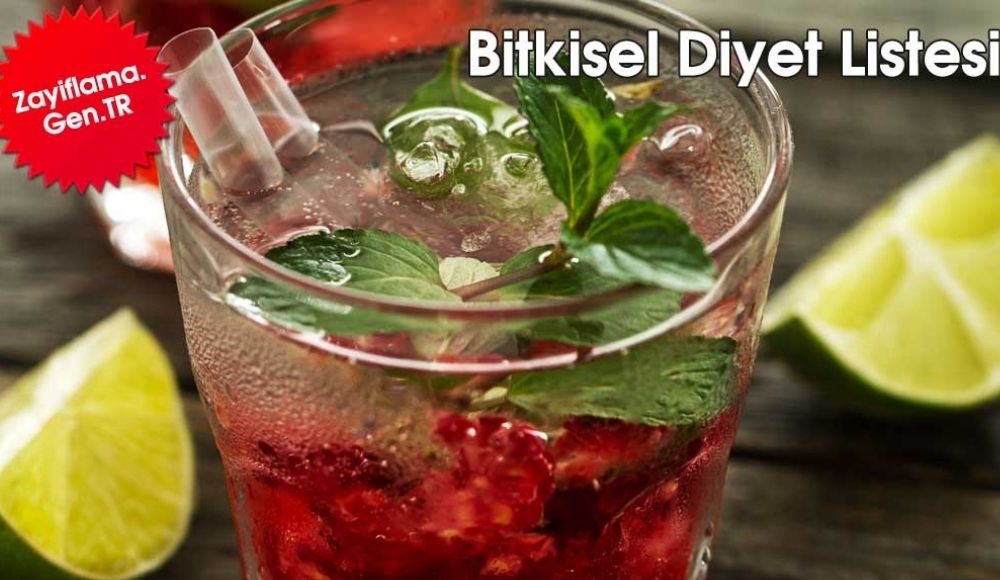 Bitkisel Diyet