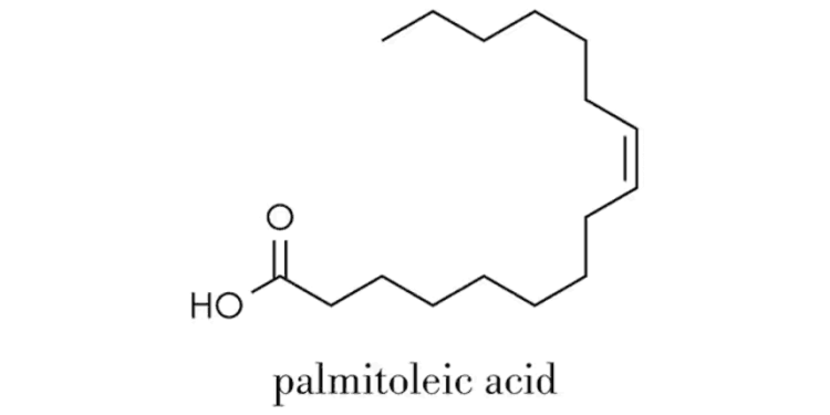 Palmitoleik Asit Omega 7