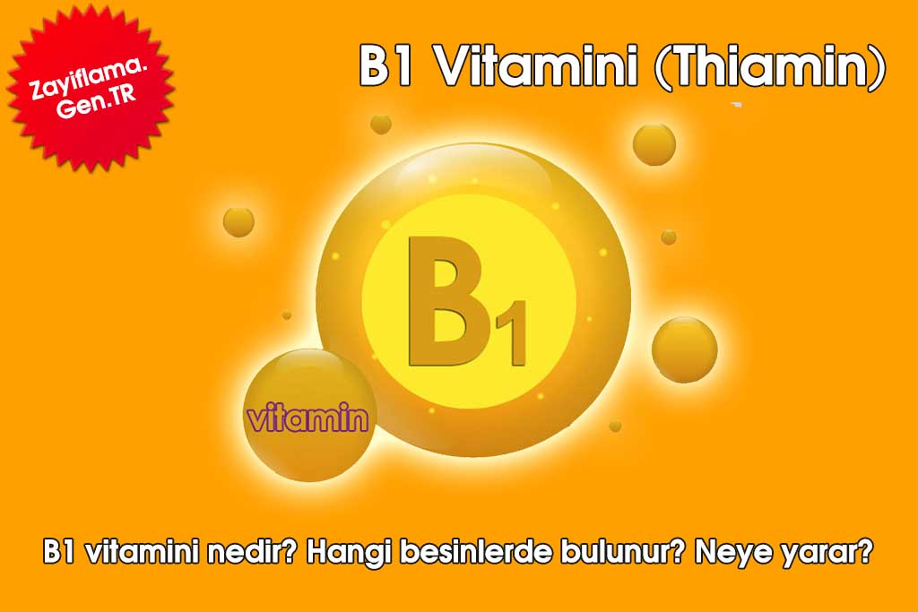 B1 Vitamini (Thiamin)