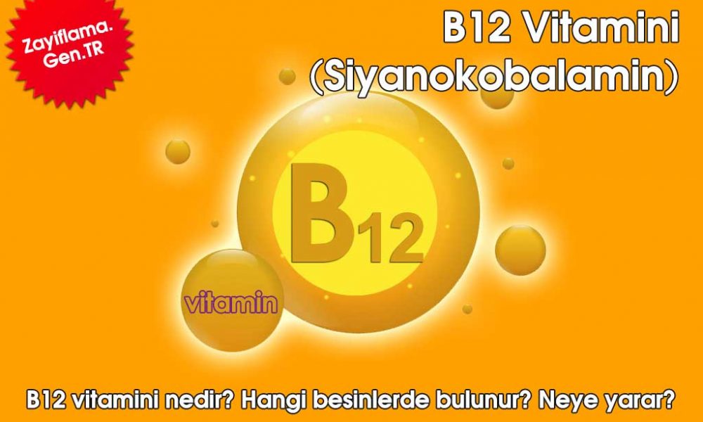 B12 Vitamini B12 Vitamini Nedir? B12 Fayfaları Nelerdir? B12 Eksikliği