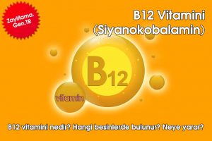 B12 Vitamini (Siyanokobalamin)