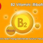 B2 Vitamini (Riboflavin)