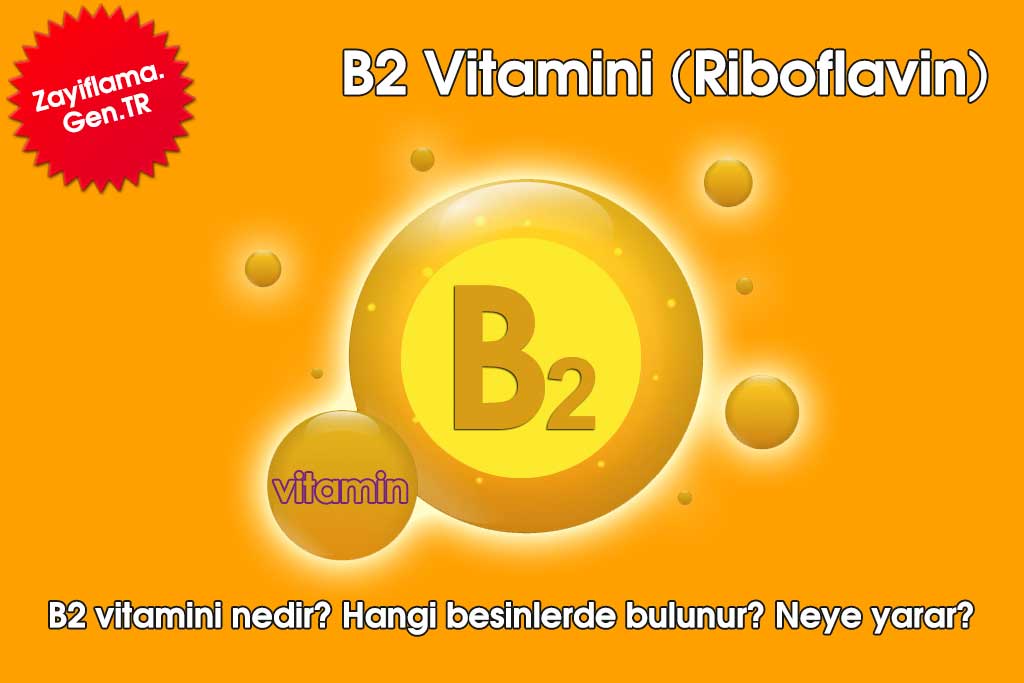 B2 Vitamini (Riboflavin)