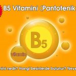 B5 Vitamini (Pantotenik Asit)