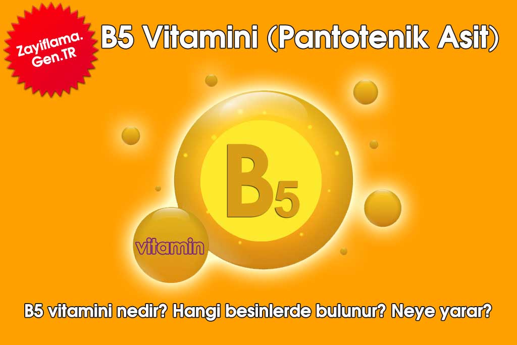 B5 Vitamini (Pantotenik Asit)