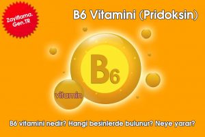 B6 Vitamini (Pridoksin)