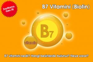 B7 Vitamini (Biotin)