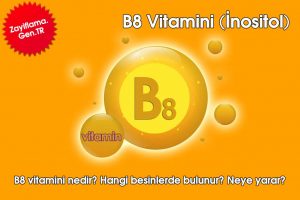 B8 Vitamini (İnositol)