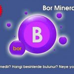 Bor Minerali