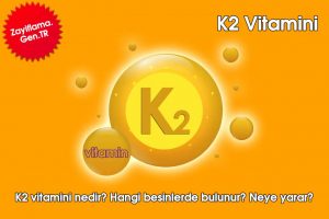 K2 Vitamini