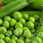 Lutein