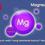 Magnezyum