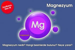 Magnezyum