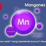 Manganez | 4 Temmuz 2022