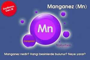 Manganez | 29 Nisan 2024