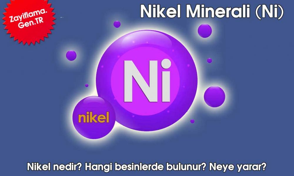 Omega 6 Nedir? Faydaları Nelerdir? Omega 3 ve 6 Dengesi