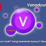 Vanadyum Nedir? Vanadyumun Faydaları ve Zararları