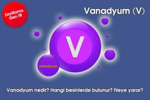 Vanadyum Nedir? Vanadyumun Faydaları ve Zararları