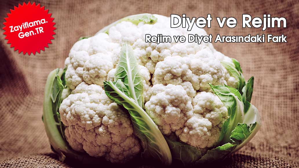 Diyet Rejim