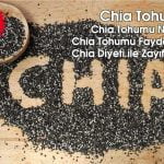 Chia Tohumu Nedir? Chia Tohumunun Faydaları ve Zaraları Nelerdir?