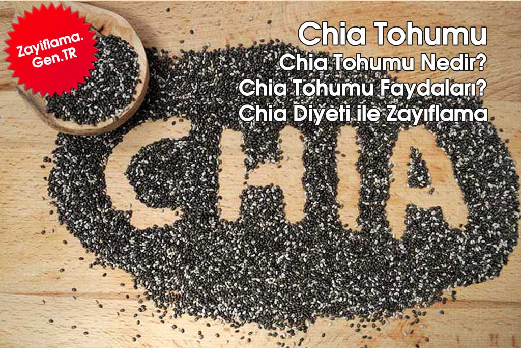 Chia Tohumu Nedir? Chia Tohumunun Faydaları ve Zaraları Nelerdir?