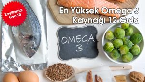 En Yüksek Omega 3 Kaynağı 12 Gıda