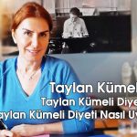 Taylan Kümeli Diyeti