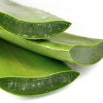 Aloe Vera Faydaları