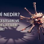 Alerji Nedir Alerji çeşitleri ve Alerji belirtileri Nelerdir?