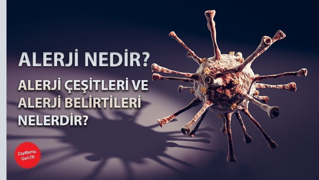 Alerji Nedir Alerji çeşitleri ve Alerji belirtileri Nelerdir?