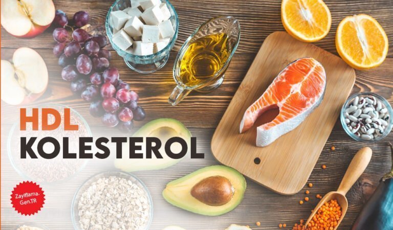 HDL Kolesterol
