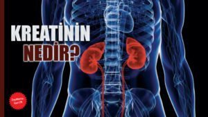Kreatinin Nedir?