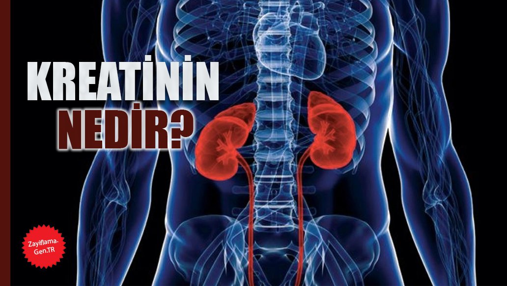 Kreatinin Nedir?