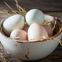 Yumurta ve Cilt Sağlığı